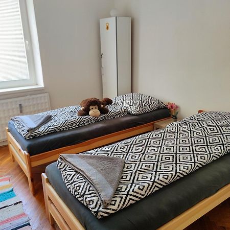 Fast Apartment In The Centrum Левице Экстерьер фото